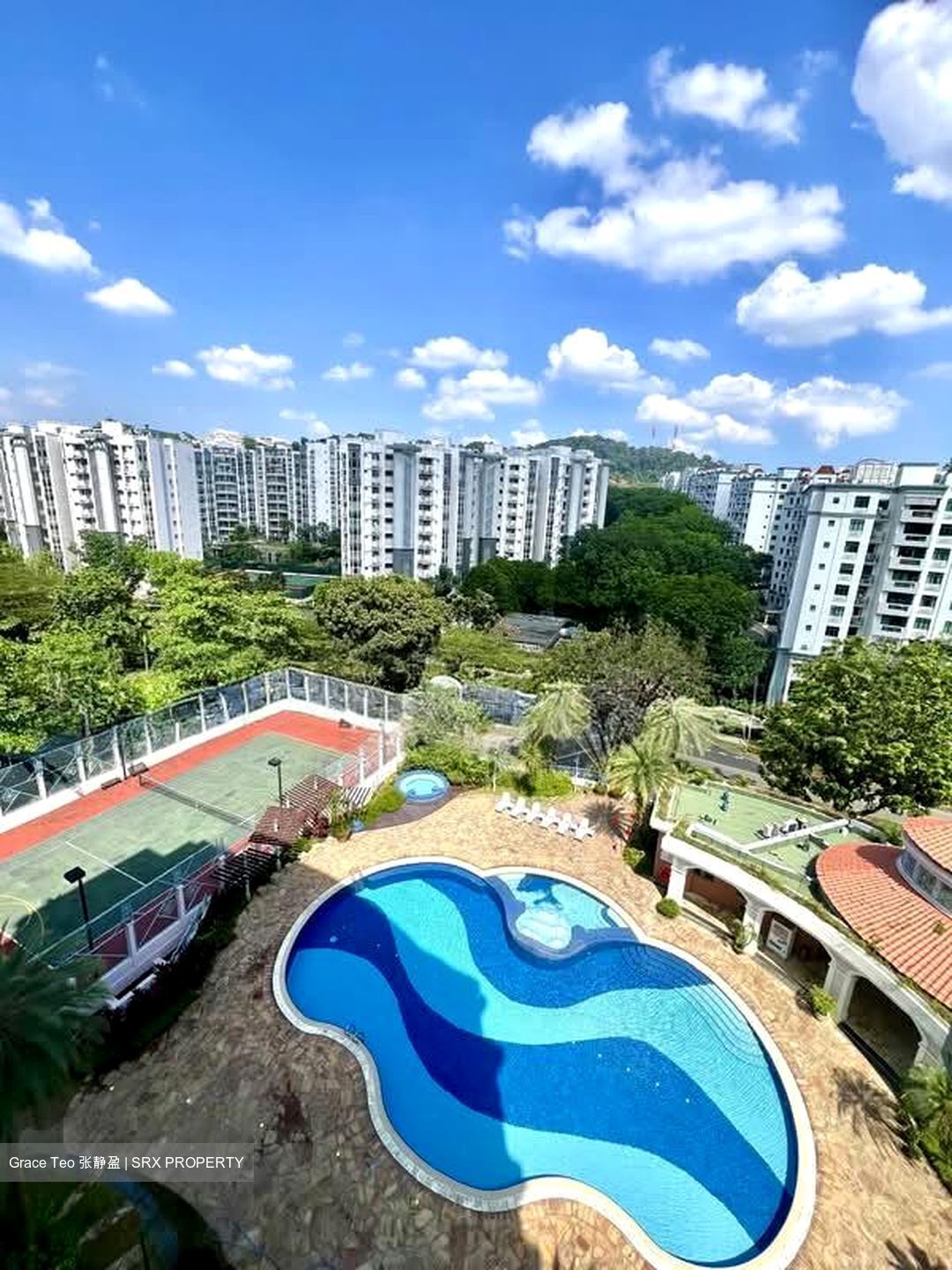 Chantilly Rise (D23), Condominium #531160851